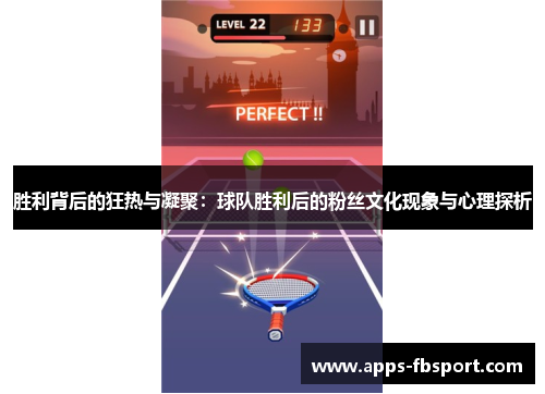 胜利背后的狂热与凝聚：球队胜利后的粉丝文化现象与心理探析