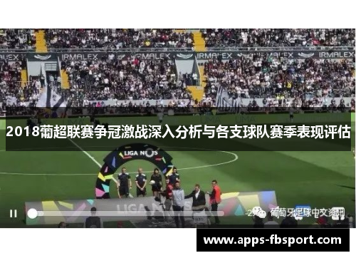2018葡超联赛争冠激战深入分析与各支球队赛季表现评估