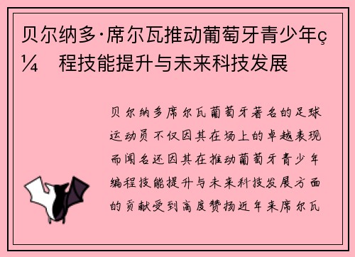 贝尔纳多·席尔瓦推动葡萄牙青少年编程技能提升与未来科技发展