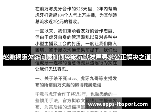 赵鹏揭露欠薪问题如何突破沉默发声寻求公正解决之道