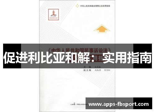促进利比亚和解：实用指南